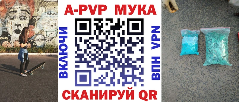 A PVP СК  Каменногорск 
