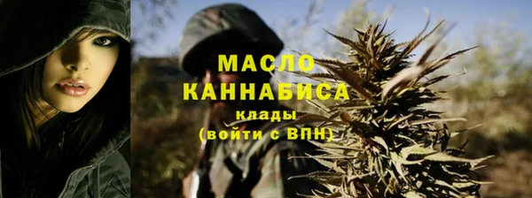 молекула духа Надым