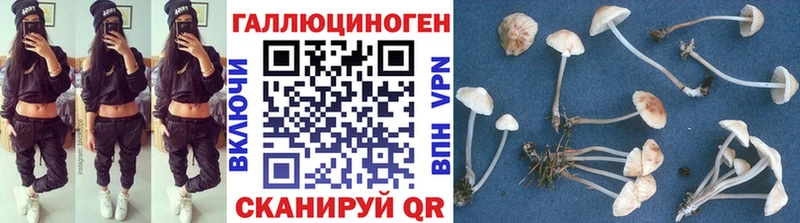 сколько стоит Каменногорск Галлюциногенные грибы MAGIC MUSHROOMS